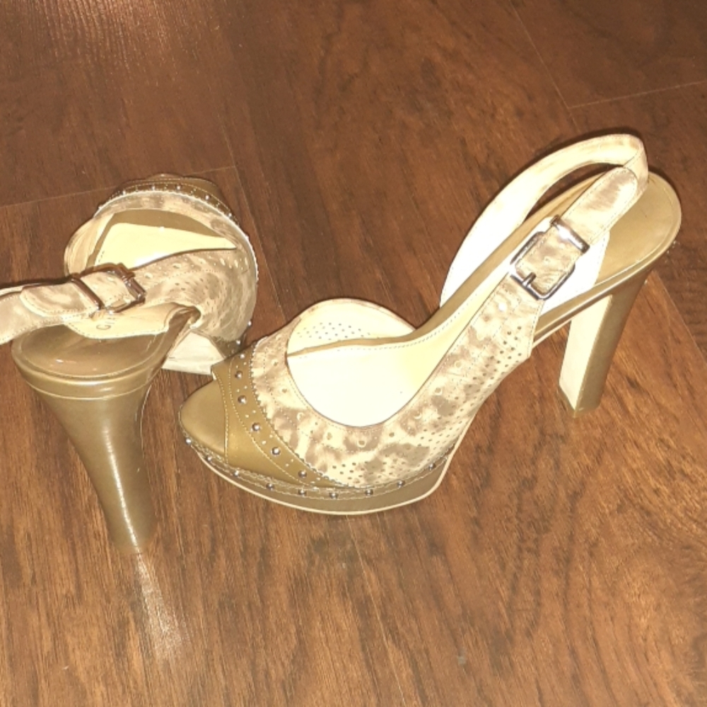 Gianni Bini